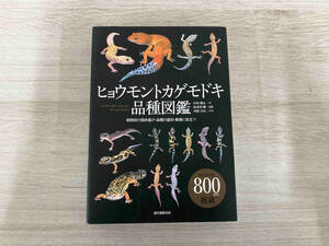 * leopard mon lizard mo when goods kind illustrated reference book middle river sho futoshi 