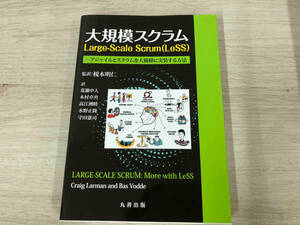 * крупный Scrum Large-Scale Scrum(LeSS).книга@ Akira .