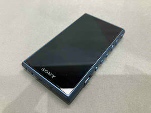 SONY ウォークマン NW-A107(64GB) WALKMAN (29-10-06)