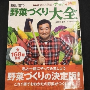 趣味の園芸やさいの時間 藤田智の野菜づくり大全(2012年4月号) 藤田智の画像1