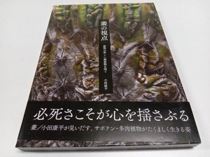 初版 叢の視点 小田康平