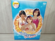 DVD 聖アリス学園 水着アタックでビーチを救え!DVD-BOX_画像1