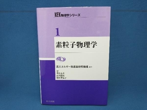 素粒子物理学 堺井義秀　共立出版