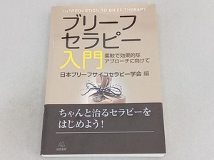 ブリーフセラピー入門 日本ブリーフサイコセラピー学会