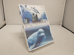 未開封　DVD NHKDVD 水族館~An Aquarium~横浜・八景島シーパラダイス アクアミュージアム