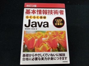 基本情報技術者らくらく突破Java 改訂3版 菊田英明