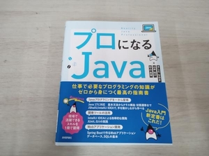  Pro стать Java... более того .