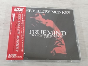 【DVD】 TRUE MIND TOUR'95~'96 FOR SEASON:in motion イエロー・モンキー