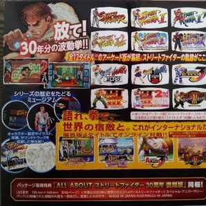 ニンテンドースイッチ／ストリートファイター 30th アニバーサリーコレクション インターナショナルの画像7