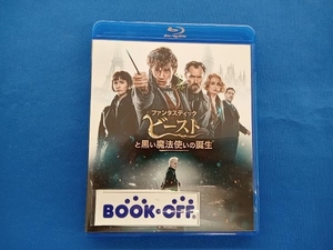 ファンタスティック・ビーストと黒い魔法使いの誕生 ブルーレイ&DVDセット(Blu-ray Disc)