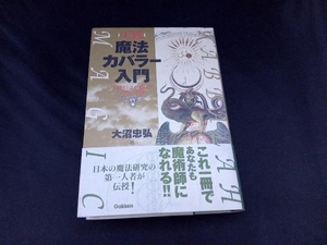 実践 魔法カバラー入門 大沼忠弘