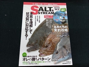 SALT & STREAM(VOL.21) メディア・ボーイ
