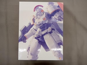 DVD G-SELECTION 新機動戦記ガンダムW DVD-BOX