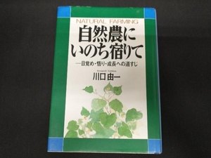 自然農にいのち宿りて 川口由一