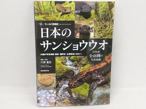 日本のサンショウウオ 川添宣広