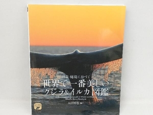 世界で一番美しいクジラ&イルカ図鑑 水口博也