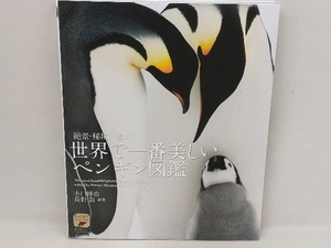 世界で一番美しいペンギン図鑑 水口博也