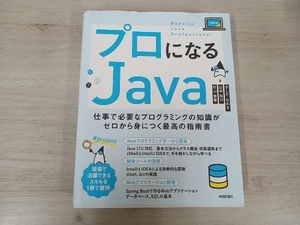  Pro стать Java... более того .