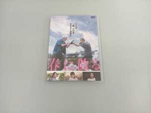 DVD 春に散る スタンダード・エディション