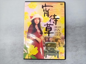 DVD 宵待草