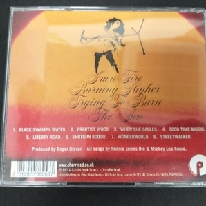 ELF & RONNIE JAMES DIO CD 【輸入盤】TRYING TO BURN THE SUNの画像2