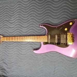 FERNANDES THE FUNCTION FST エレキギターの画像2