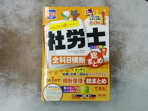 みんなが欲しかった!社労士全科目横断総まとめ(2023年度版) TAC社会保険労務士講座