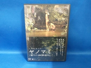 DVD NHK-DVD::ヤノマミ ~奥アマゾン 原初の森に生きる~[劇場版]