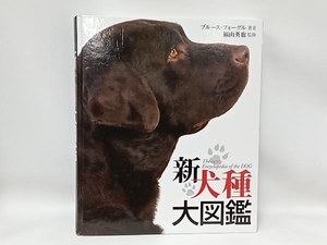 新犬種大図鑑 ブルースフォーグル