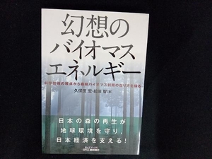 幻想のバイオマスエネルギー 久保田宏