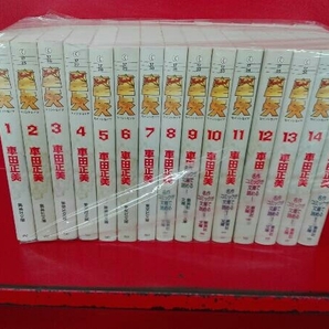 完結セット 文庫コミック版 聖闘士星矢 全15巻セットの画像1