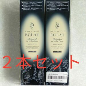 ヘアボーテ エクラ ボタニカル エアカラーフォーム EX ナチュラルブラック150g２本セット