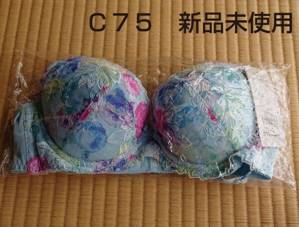 【新品未使用】 トリンプ ブラジャー C75