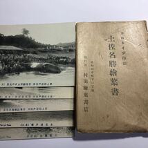 戦前　高知県　土佐名勝絵葉書　5枚 村田絵葉書店 土佐室戸海岸 セミクジラ（背美鯨）の解剖光景2.3、引上げ/土佐汲江/土佐浦戸港_画像6