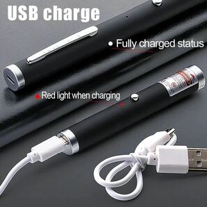 USB 充電式 レーザー ポインタ 緑 赤 レーザーポインター プレゼン ミリタリー スポットライトの画像3