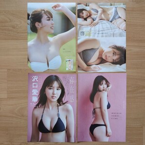 雑誌の切り抜き 31ページ 沢口愛華  週刊プレイボーイ ヤングマガジン FRIDAY ヤングチャンピオンの画像4