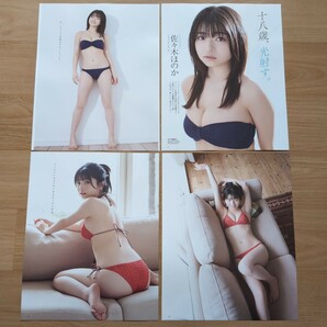 雑誌の切り抜き 25ページ 佐々木ほのか  BOMB Love special 週刊プレイボーイ   ヤングマガジンの画像1