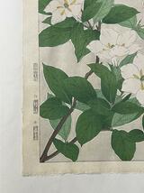 【真作】 河原崎奨堂 クチナシ 日本の花こよみ 手摺木版画 植物 芸艸堂 当時物 大判 彫長島 摺新味 新版画 かわらさきしょうどう_画像8