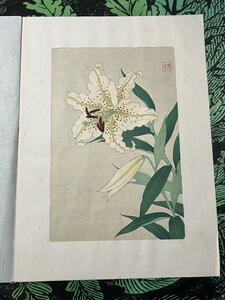 【真作】 河原崎奨堂 ヤマユリ 日本の花こよみ 手摺木版画 植物 芸艸堂 当時物 大判 彫長島 摺新味 新版画 かわらさきしょうどう