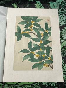 【真作】 河原崎奨堂 モクセイ 金木犀 日本の花こよみ 手摺木版画 植物 芸艸堂 当時物 大判 彫長島 摺新味 新版画 かわらさきしょうどう