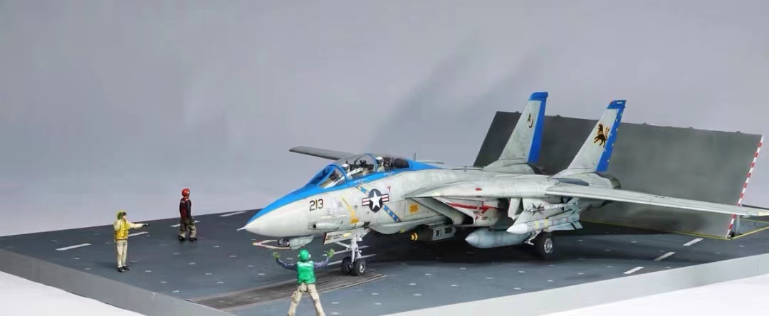 1/48 アメリカ海軍 F-14D トムキャット VF-213 組立塗装済完成品, プラモデル, 航空機, 完成品
