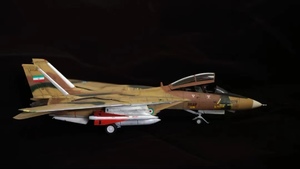 Art hand Auction 1/48 F-14A ВВС Ирана собран и покрашен готовое изделие., Пластиковые модели, самолет, Готовый продукт