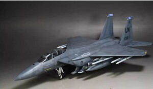 1/48 America Air Force F-15E construction painted final product 