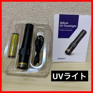 ブラックライト 365nm波長 10W UVライト USB充電式