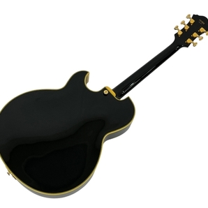 Ibanez アイバニーズ PM-100 PAT METHENY エレキ ギター フルアコ ハードケースあり 中古 良好 N8727511の画像5