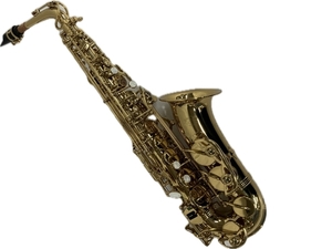 [Подтверждение операции] J.Michael Alto Saxophone Wind Instrument использовал S8778097