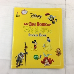 ワールドファミリー DWE ディズニー ワールドオブイングリッシュ MY BIG BOOK OF WORDS 英語教材 中古 N8631917の画像6