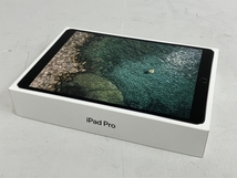 【動作保証】Apple iPad Pro MPDY2J/A 256GB Wi-Fiモデル タブレット 中古 訳有 M8729625_画像9