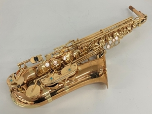 【動作保証】YANAGISAWA ヤナギサワ A-W02 アルトサックス 管楽器 ハードケース付き 中古 良好 K8769014