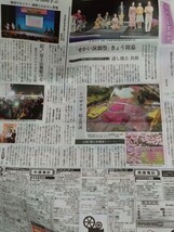 「富士芝桜まつり」シバザクラ 桜と共演　山梨富士本栖湖リゾート　静岡新聞2024年4/27掲載 特集記事4つ折り発送_画像4